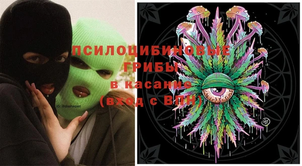 тгк Лагань