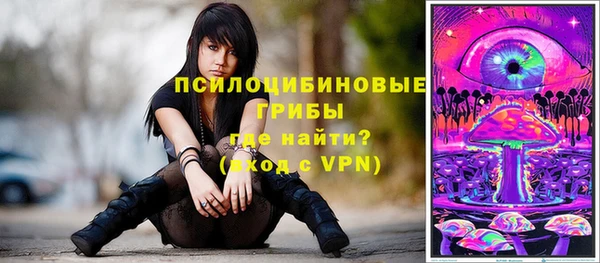 тгк Лагань