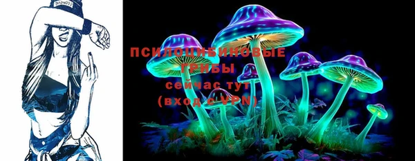 тгк Лагань