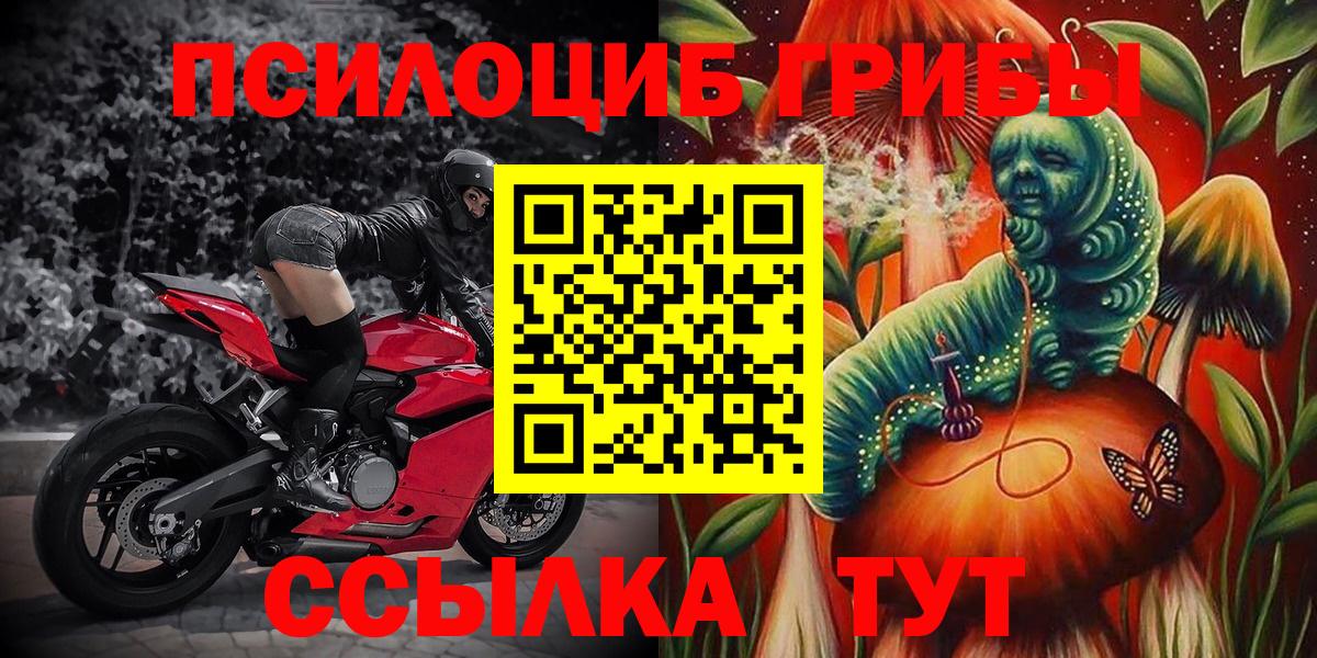 Псилоцибиновые грибы Psilocybe  Вход с VPN  Железноводск 