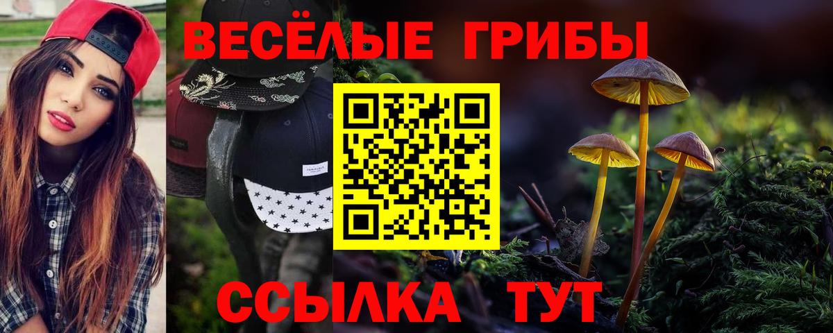 Галлюциногенные грибы GOLDEN TEACHER Железноводск